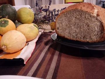 23468394_1734674589930315_1356651946_o