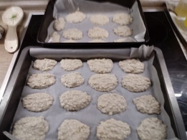 23477041_1736459559751818_2086213416_n