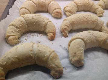 25344530_1772433269487780_840699477_o